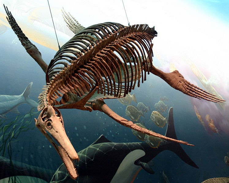 plesiosaur sea dinosaurs